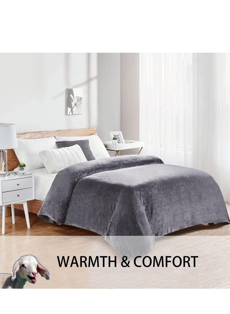 TRASSLE Fleece Blanket,280GSM Plush Throw Fuzzy Lightweigh, Super Soft Microfiber Flannel Blankets for Couch, Bed, Sofa Ultra Luxurious Warm and Cozy for All Seasons  - Image 5