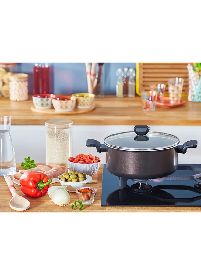 Tefal TEFAL EASY COOK AND CLEAN | Stewpot 24 cm | easy clean | non stick coating | thermo signal | heat indicator | diffusion base | healthy | safe cookware | Made in France | 2 Years Warranty | B5544602 Black Coffee Ultra
