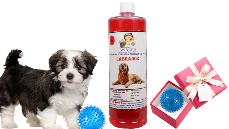 swacch Shampoo | Puppy Safe Shampoo | PH Balanced | Ditch to Itch for Labrador Dog Shampoo 1 Litre (Strawberry) + Spike Ball Chew Toy Combo Pack - Image 1