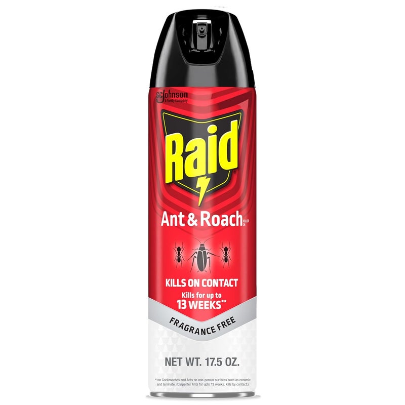 Raid Ant & Roach Killer Aerosol Spray - Unscented, 17.5 oz - Image 1