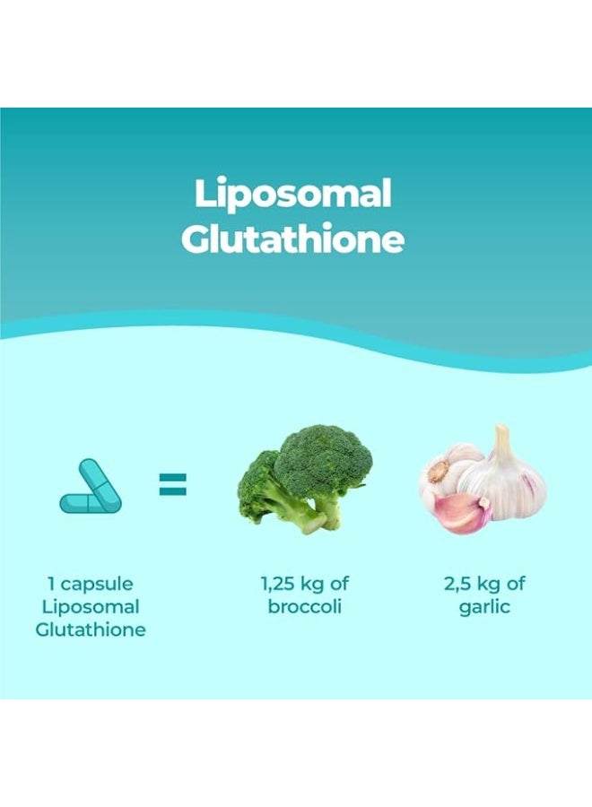 بانديني جلوتاثيون ليبوزومي مخفض | L-Glutathione Setria® – امتصاص أفضل، مضاد للأكسدة، إزالة السموم ومكافحة الشيخوخة لحماية الخلايا المثلى – 60 كبسولة - Image 4