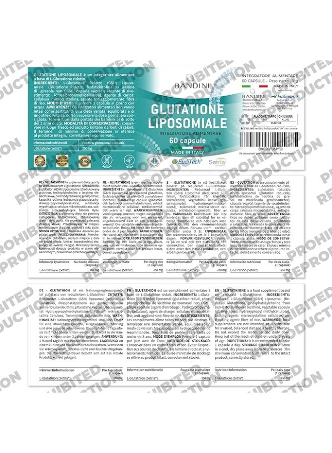 بانديني جلوتاثيون ليبوزومي مخفض | L-Glutathione Setria® – امتصاص أفضل، مضاد للأكسدة، إزالة السموم ومكافحة الشيخوخة لحماية الخلايا المثلى – 60 كبسولة - Image 5