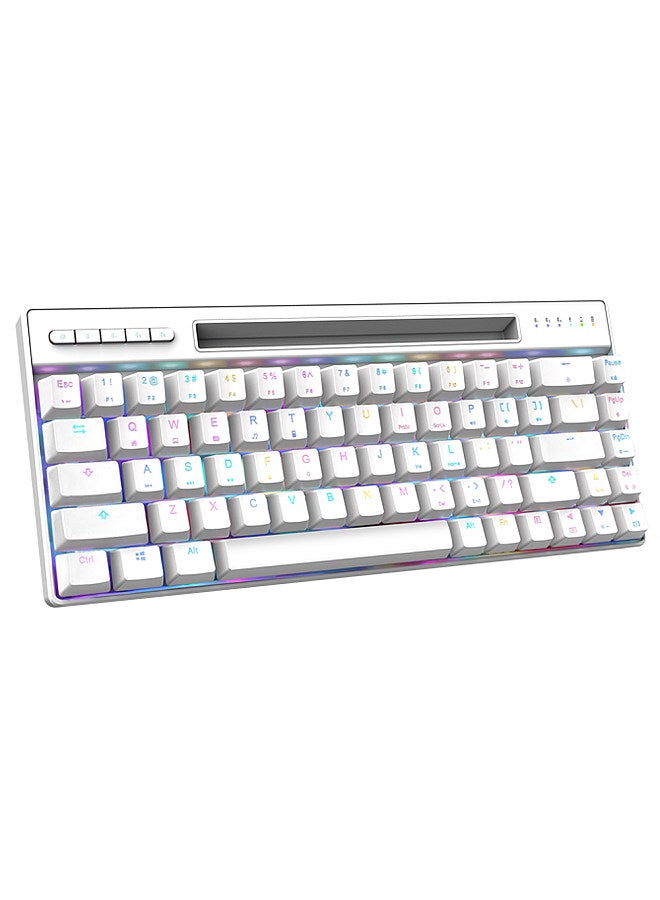 Magic-Refiner MK16 Mechanical Keyboard BT Wired Dual Mode Keyboard 68 Keys RGB Gaming Keyboard with Mechanical Blue Switch White