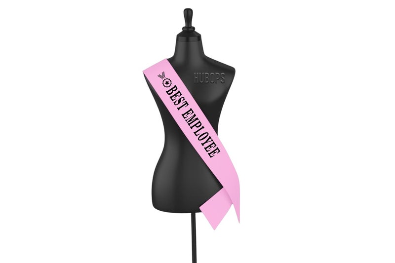 Hubops Best employee sash pink for Employee recognition/award/Employee of the month/Employee achievement/Outstanding employee/Employee appreciation gift/Office Party & Corporate Events (pink) - Image 1