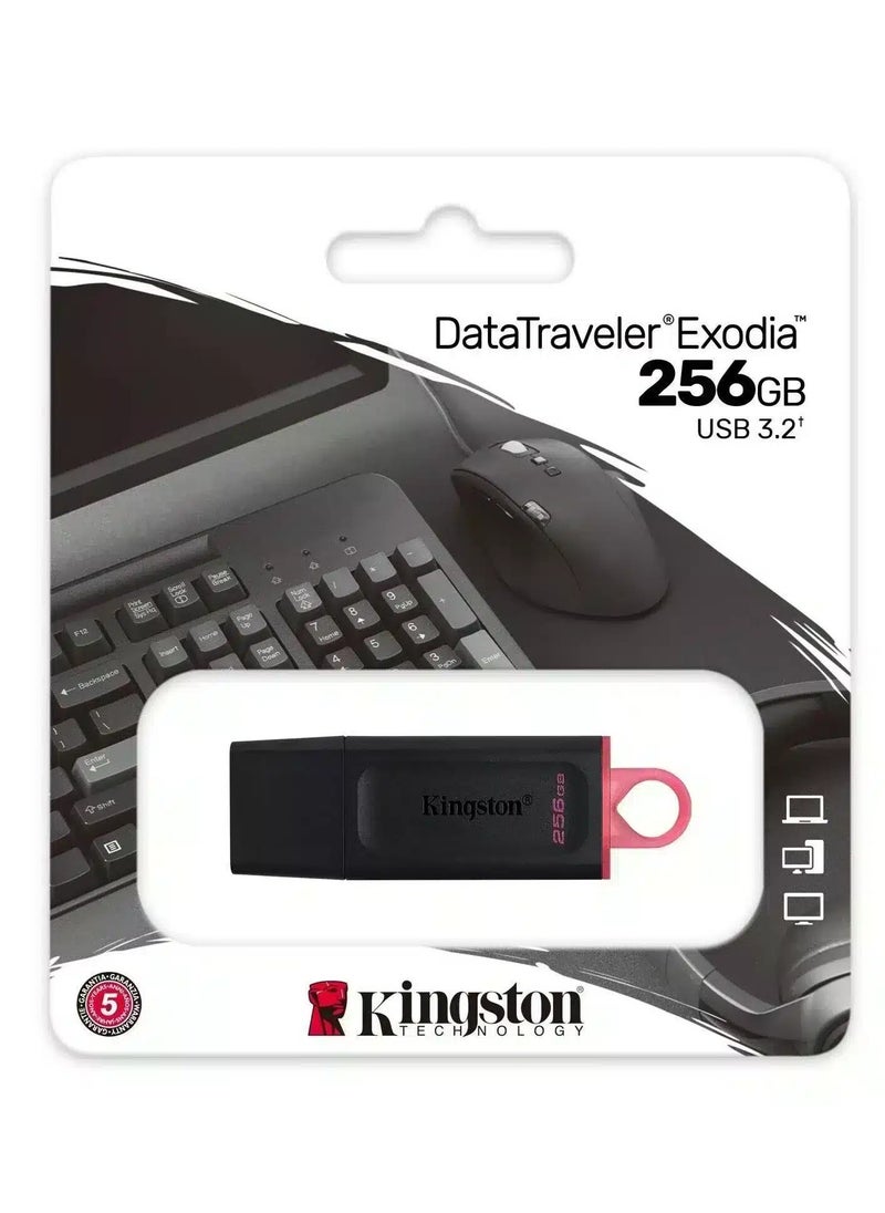 Kingston 256 GB Kingston FLASH DataTraveler Exodia USB 3.2  - Image 1