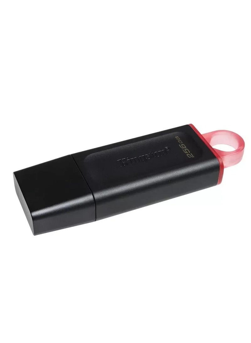 Kingston 256 GB Kingston FLASH DataTraveler Exodia USB 3.2  - Image 2