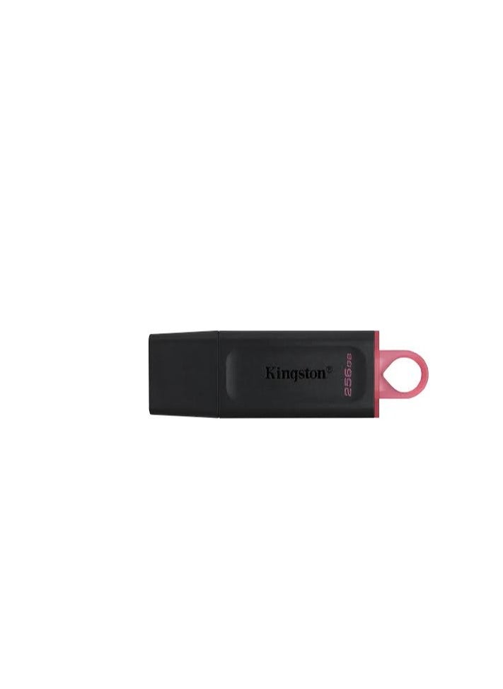 Kingston 256 GB Kingston FLASH DataTraveler Exodia USB 3.2  - Image 3