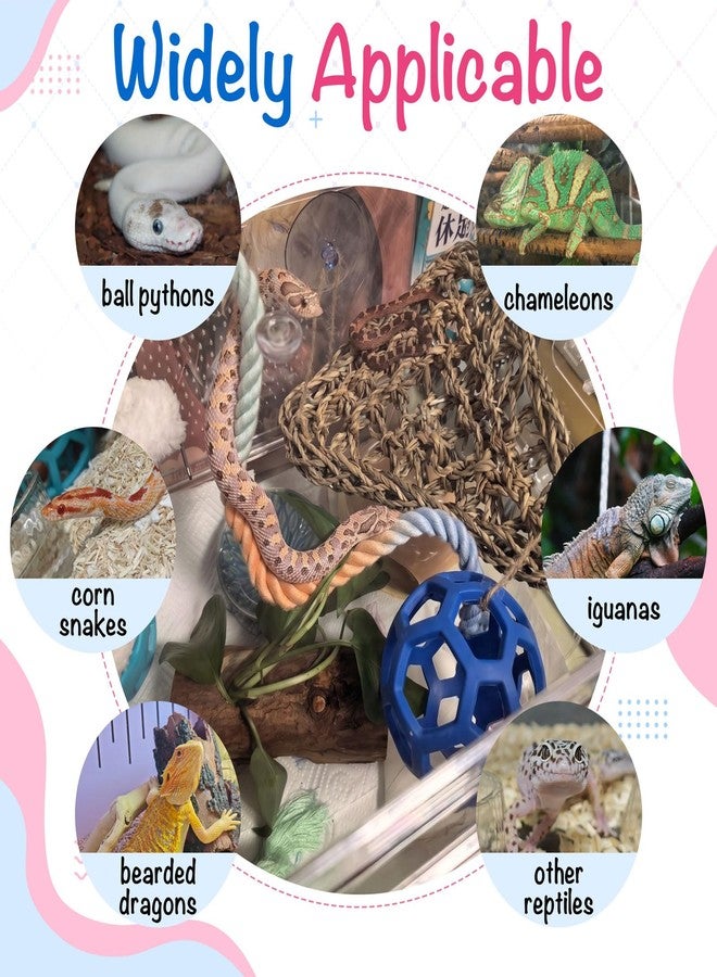 Niuohoy Snake Enrichment Toys Ball Snake Enclosure Accessories Reptile Climbing Decor with Clear Suction Cups, Suitable for Chameleons, Corn Snakes, Ball Python, and Other Reptiles - Image 5