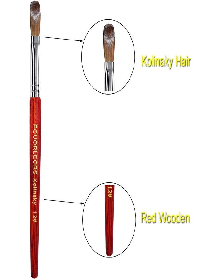 PCUORLEORS Acrylic Nail Brush with 100% Pure Kolinsky Sable Hair and Red Wood Hand, Professional Kolinsky/Gel Brush for Acrylic Application (size 12) - Image 2