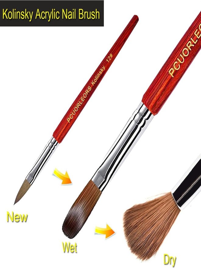 PCUORLEORS Acrylic Nail Brush with 100% Pure Kolinsky Sable Hair and Red Wood Hand, Professional Kolinsky/Gel Brush for Acrylic Application (size 12) - Image 4