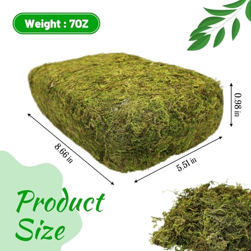Riare 7OZ Artificial Fake Moss for Fake Plants Indoor- Premium Faux Craft Moss for Potted Plant, Fresh Forest Green for Hamsters Micro-Landscape Terrariums Centerpieces Decor - Image 2