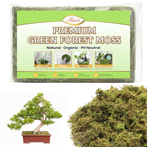 Riare 7OZ Artificial Fake Moss for Fake Plants Indoor- Premium Faux Craft Moss for Potted Plant, Fresh Forest Green for Hamsters Micro-Landscape Terrariums Centerpieces Decor - Image 1