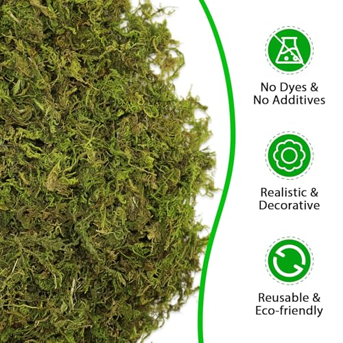 Riare 7OZ Artificial Fake Moss for Fake Plants Indoor- Premium Faux Craft Moss for Potted Plant, Fresh Forest Green for Hamsters Micro-Landscape Terrariums Centerpieces Decor - Image 3