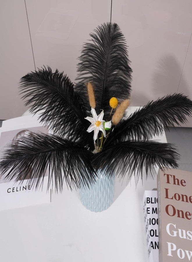 Shekyeon Black 10-12inch 25-30cm Ostrich Feather Home Decoration DIY Craft Pack of 10 - Image 4
