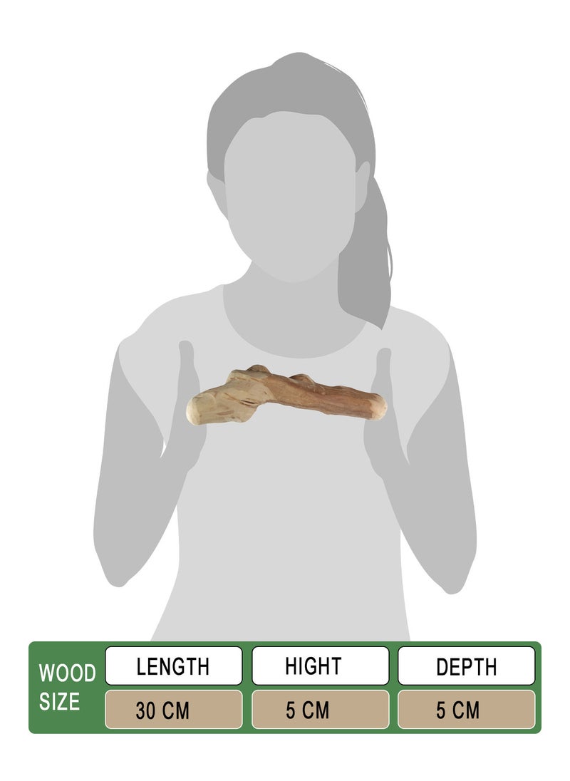CHEWY BONE Large Dog Chew Wooden Stick Organic Indonesian Java wood for aggressive chewers For teething and Interactive play  - Image 2