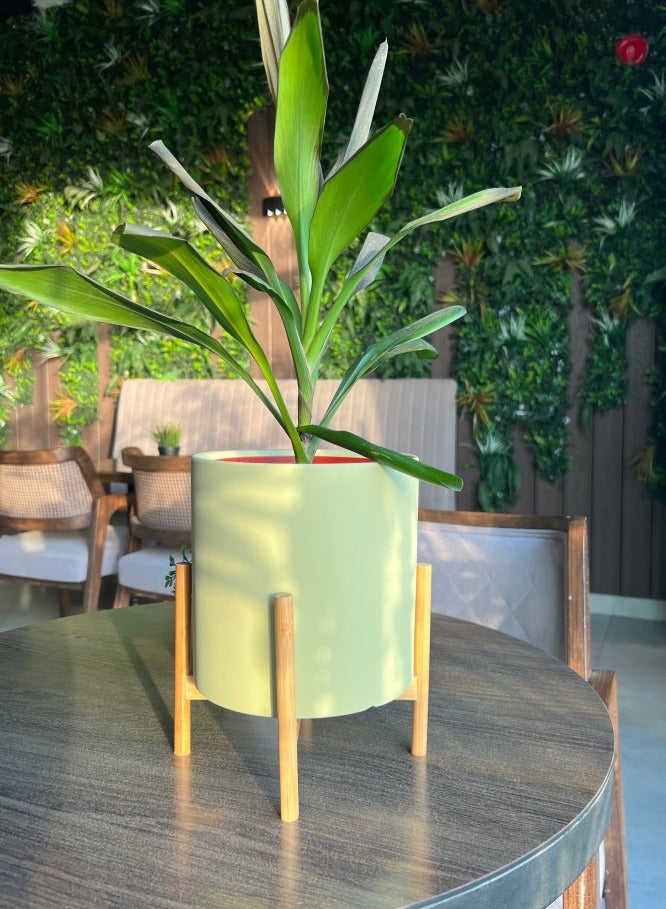 Modern design Ceramic Plant pot with Wooden Stand (Plant not included) - Image 1