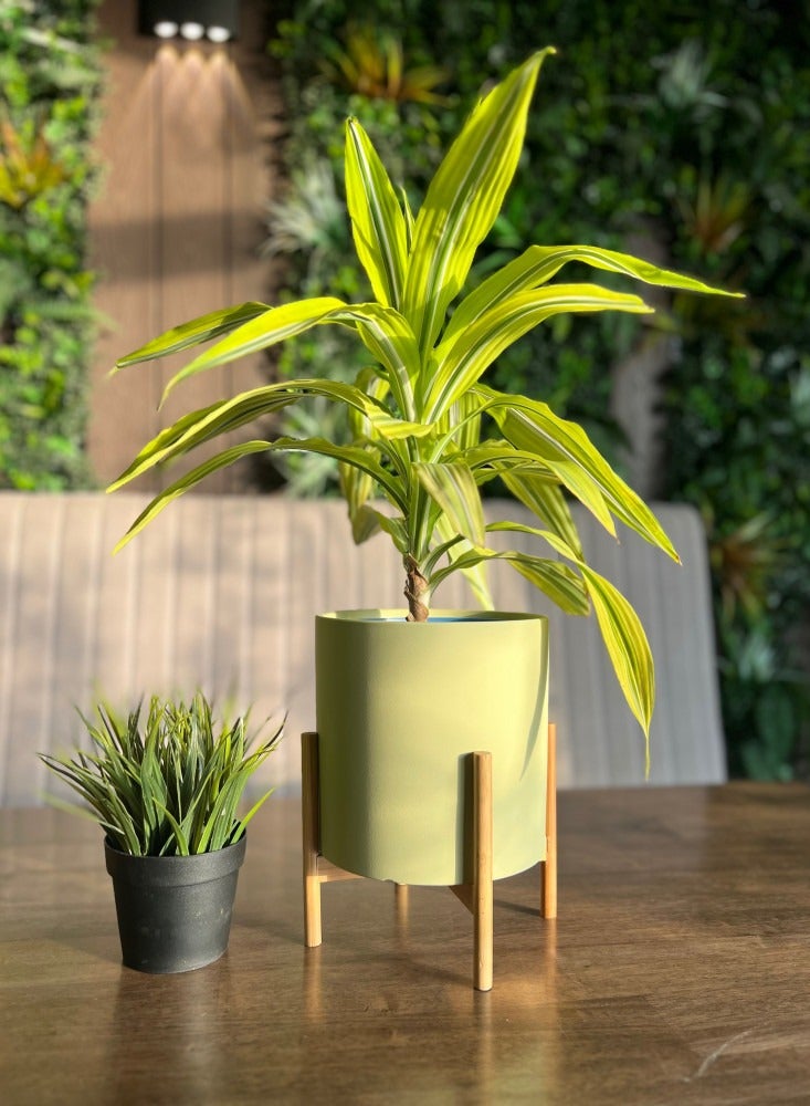 Modern design Ceramic Plant pot with Wooden Stand (Plant not included) - Image 2