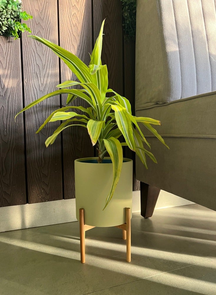 Modern design Ceramic Plant pot with Wooden Stand (Plant not included) - Image 3