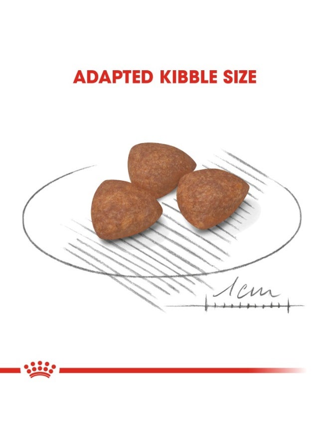 رويال كانين حجم التغذية الصحية للجرو الصغير الداخلي 1.5 كجم - Image 3