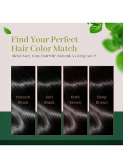 Herb Speedy Hair Color Cream, Ammonia-Free (Deep Brown)  - Image 5