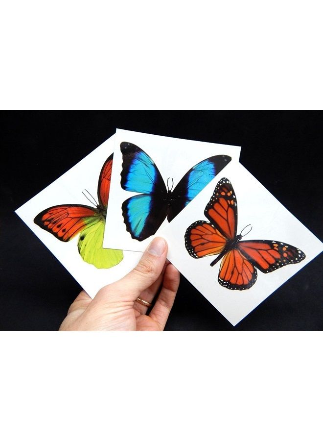 Butterfly Utopia تاتو مؤقت فراشة كبير من باترفلاي يوتوبيا (12 ورقة) - Image 5