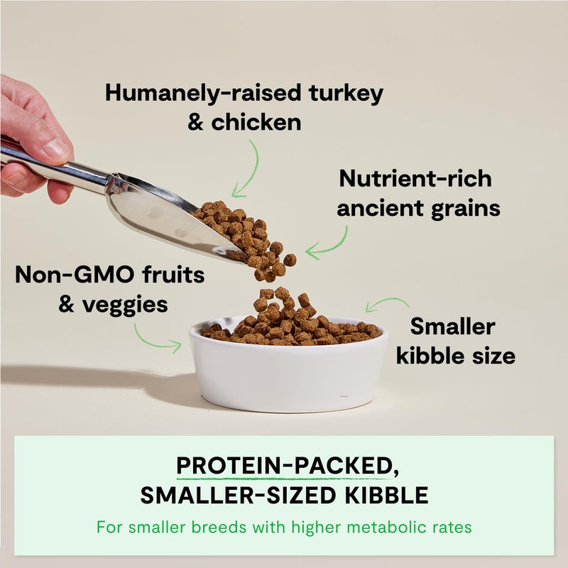 Open Farm, Ancient Grains Dry Dog Food for Small Breeds, Protein-Rich & Nutrient Dense, 90% Animal Protein with Non-GMO Fruits, Veggies and Superfoods, Chicken & Turkey Recipe for Small Dogs, 4lb Bag - Image 2