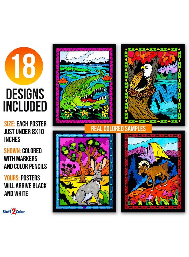 Stuff2Color باقة سوبر من 18 ملصق تلوين من المخمل الناعم (إصدار الحدائق الوطنية) - رائع لقضاء وقت العائلة، الفنون والحرف، السفر، في المنزل، مرافق الرعاية [جميع الأعمار: الفتيات، الأولاد، البالغين، الأطفال الصغار، المراهقين] - Image 3