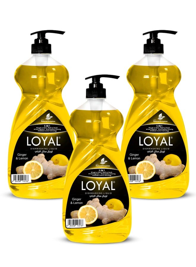 لويال سائل غسيل الأطباق ٥ في ١ - زنجبيل وليمون ٣ × ١.٥ لتر