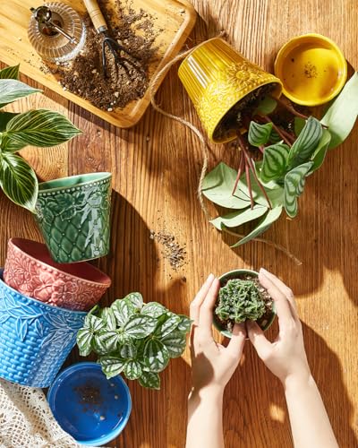 Metahom Succulent Ceramic Pots, 3.8 Inch Small Plant Pots with Drainage Hole & Saucer, Flower Planter Pot for House Plants Cacti, Home Decor, Set of 4, Assorted Colors - Image 5
