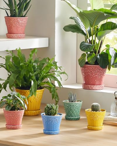 Metahom Succulent Ceramic Pots, 3.8 Inch Small Plant Pots with Drainage Hole & Saucer, Flower Planter Pot for House Plants Cacti, Home Decor, Set of 4, Assorted Colors - Image 4