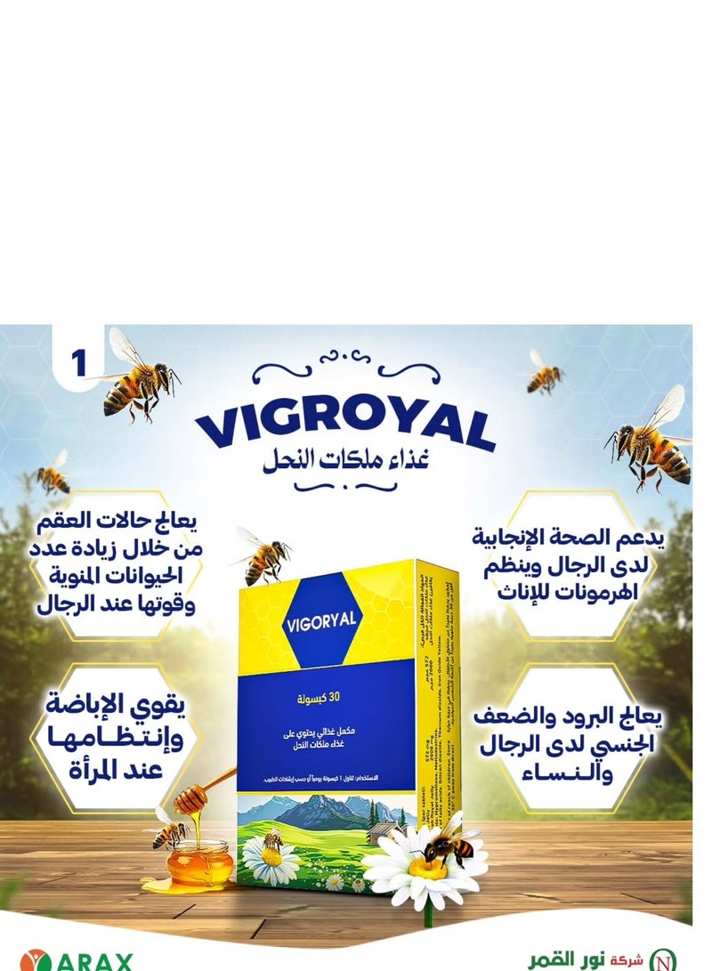 Noor AlQmar Vigoryal General Tonic Of 2000 Mg Lyophilized Royal Jelly - 30 Capsules - Image 3