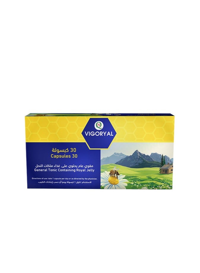 Noor AlQmar Vigoryal General Tonic Of 2000 Mg Lyophilized Royal Jelly - 30 Capsules - Image 5