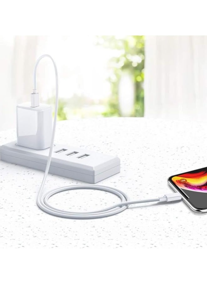 Generic - USB C to Lightning Cable 1M Apple MFi Certified Power Delivery Fast Charger Cord for iPhone 12/12 Mini/12 Pro/12 Pro Max/11 Pro/11 Pro Max/X/XS/XR/XS Max/8/8 Plus/iPad/AirPods - Image 1