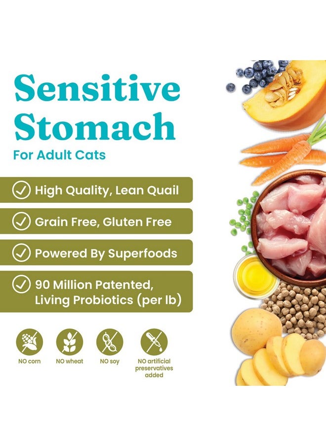 solid gold - Sensitive Stomach Dry Cat Food  Made With Real Quail & Pumpkin  Winged Tiger Grain Free Cat Food Sensitive Stomach For Adult & Senior Cats  Supports Immune & Digestive Health  6Lb - Image 1