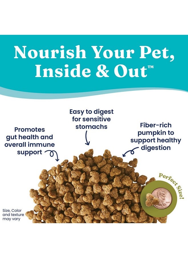 solid gold - Sensitive Stomach Dry Cat Food  Made With Real Quail & Pumpkin  Winged Tiger Grain Free Cat Food Sensitive Stomach For Adult & Senior Cats  Supports Immune & Digestive Health  6Lb - Image 1