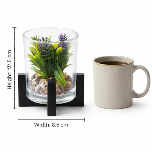 CURATED CART Mini Artificial Succulent Plant in Glass Pot with Wooden Stand, Small Faux Cactus Succulent for Home Office Desk Shelf Décor, 12cm Tall Realistic Plastic Plant with Pebbles, Indoor Décor - Image 4