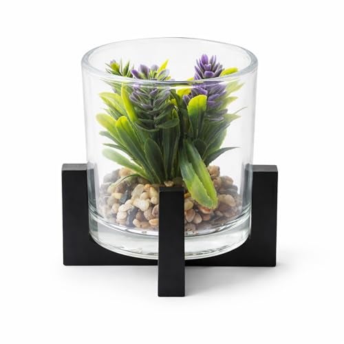 CURATED CART Mini Artificial Succulent Plant in Glass Pot with Wooden Stand, Small Faux Cactus Succulent for Home Office Desk Shelf Décor, 12cm Tall Realistic Plastic Plant with Pebbles, Indoor Décor - Image 1