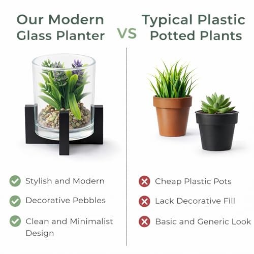 CURATED CART Mini Artificial Succulent Plant in Glass Pot with Wooden Stand, Small Faux Cactus Succulent for Home Office Desk Shelf Décor, 12cm Tall Realistic Plastic Plant with Pebbles, Indoor Décor - Image 5