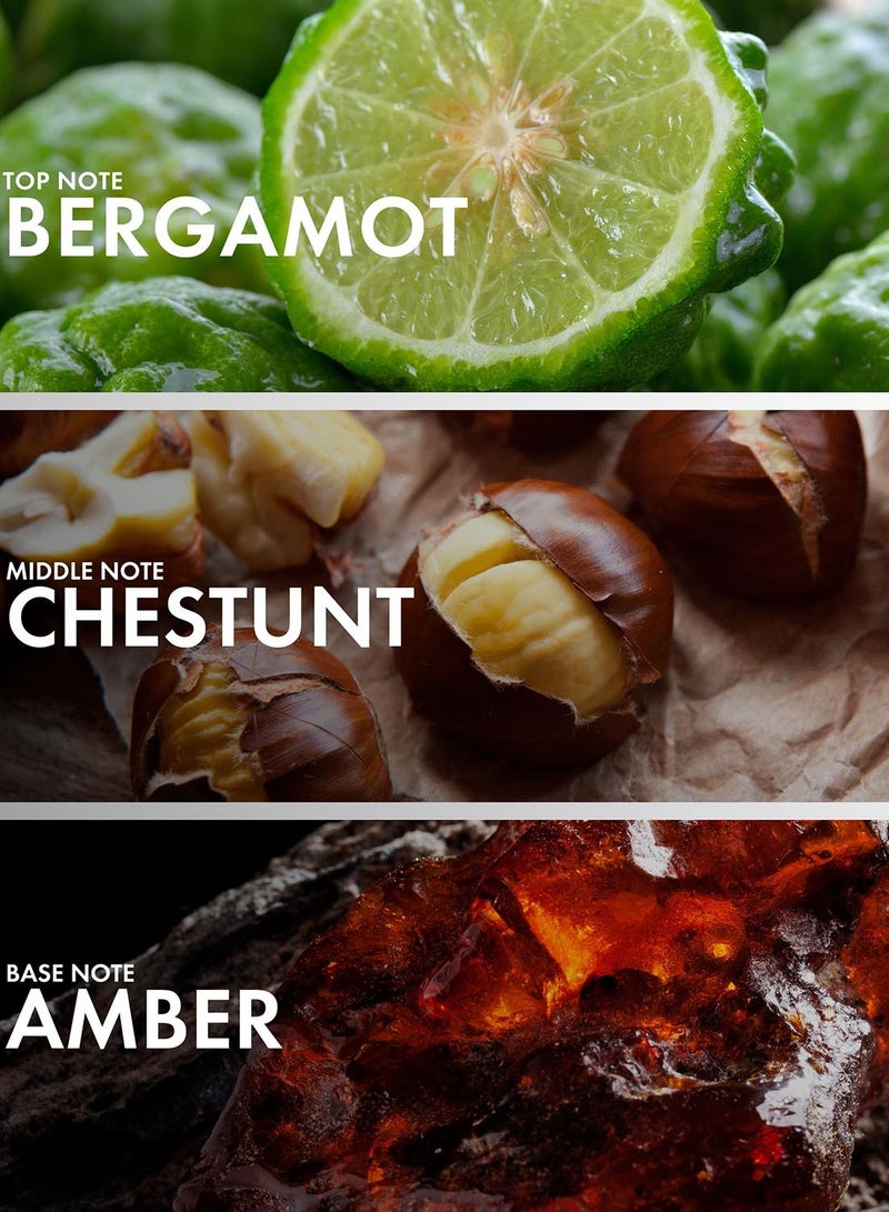 Craftier Perfume Woody Chestnut - Inspired by Gentleman EDP Reserve Privée - Image 2