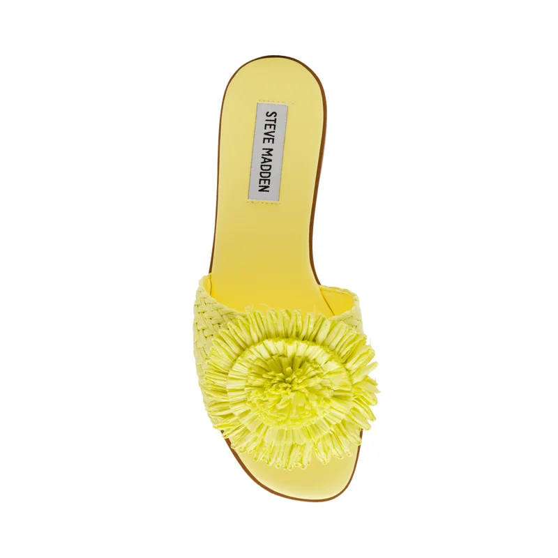 STEVE MADDEN  Karaoke Braided Open-Toe Flat Sandals for Women | Best Price UAE