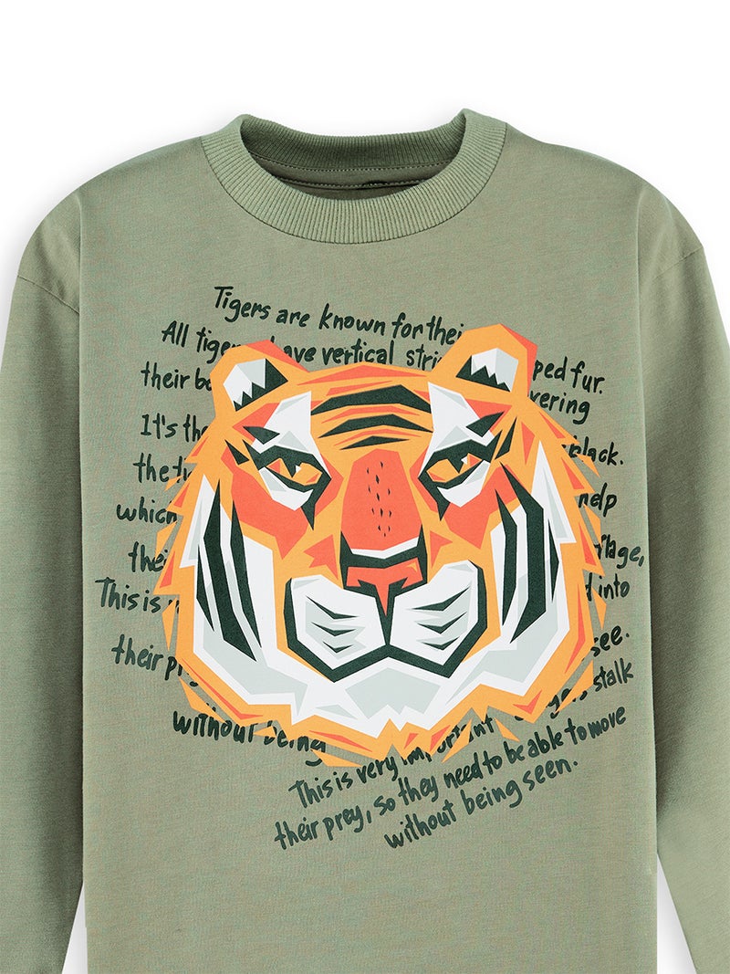 Denokids Tiger Boy Khaki T-shirt Pants Set - Image 5