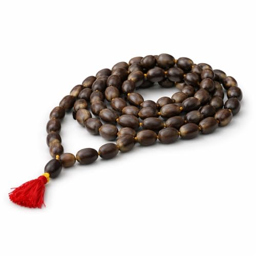 RDK® Natural Lotus Seed Kamal Gatta Mala Necklace with Tassel Rosary Jaapmala for Meditation Mantra Chanting & Pooja Astrology for Men & Women - 108 Beads - Image 1