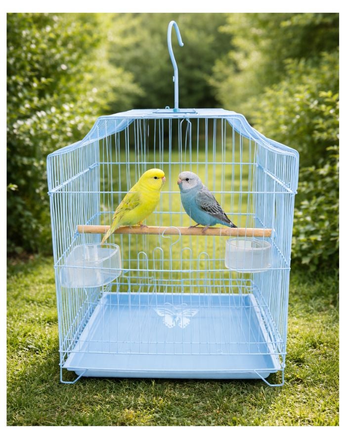 Petto Metal Bird Cage for Small Birds with Perch & Feeding Cups, Hanging Design, 33 × 31 × 46 cm - Image 4