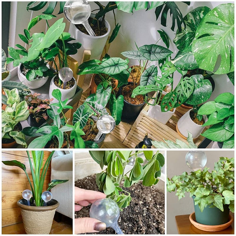 Pynqdfu 10 Pcs Clear Plant Watering Globes,Plastic Self-Watering Bulbs,Flower Automatic Watering Device,Garden Waterer for Plant Indoor Outdoor - Image 5