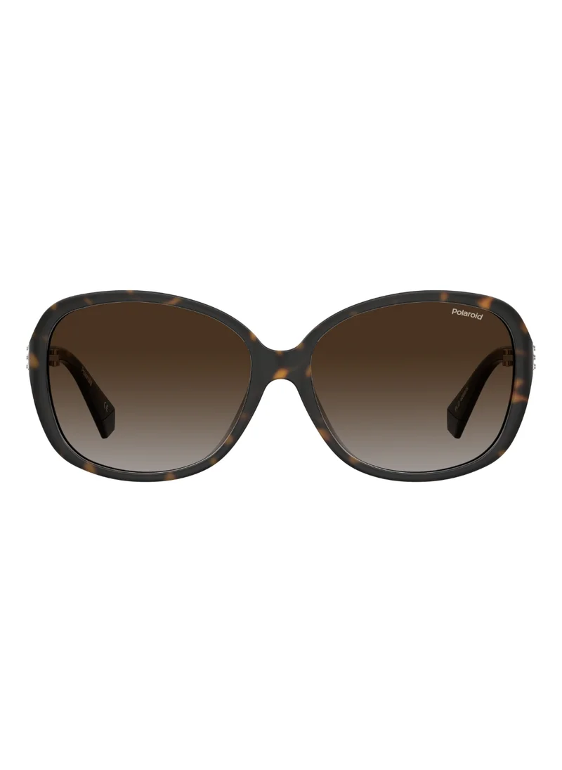 بولارويد Rectangular Polaroid Sunglasses Frames