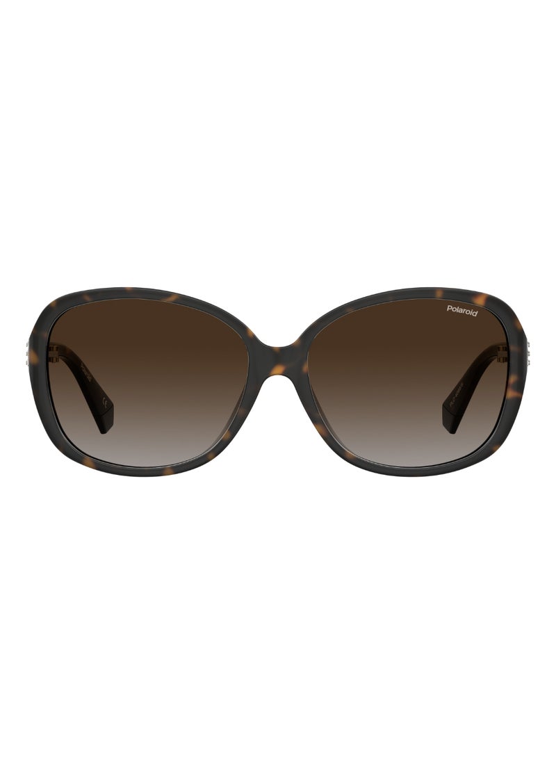 Polaroid Rectangular Polaroid Sunglasses Frames  - Image 2