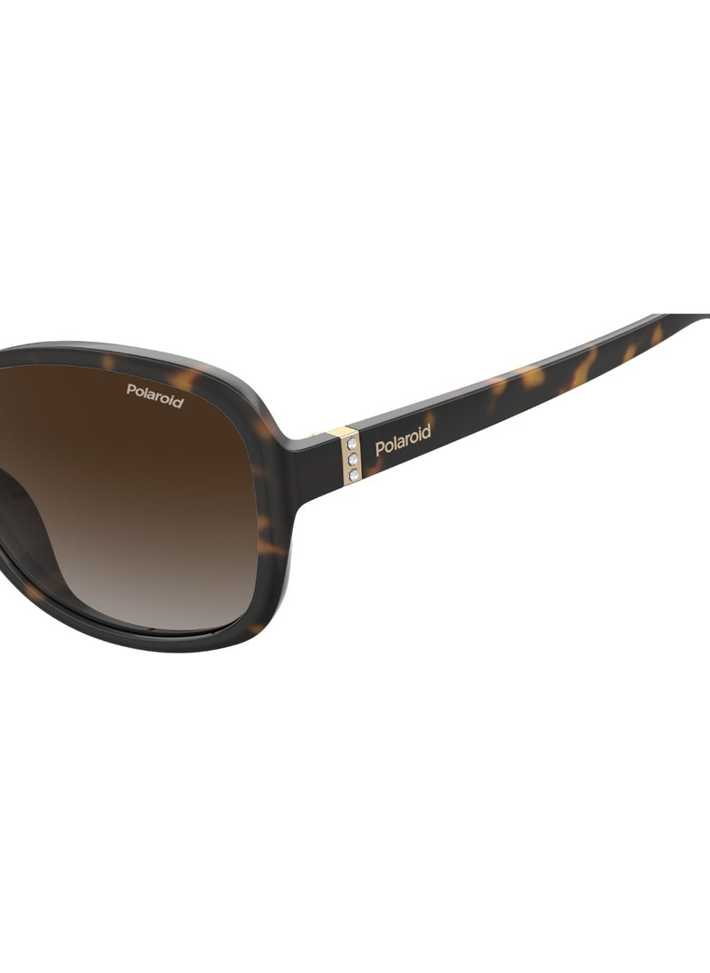 Polaroid Rectangular Polaroid Sunglasses Frames  - Image 4