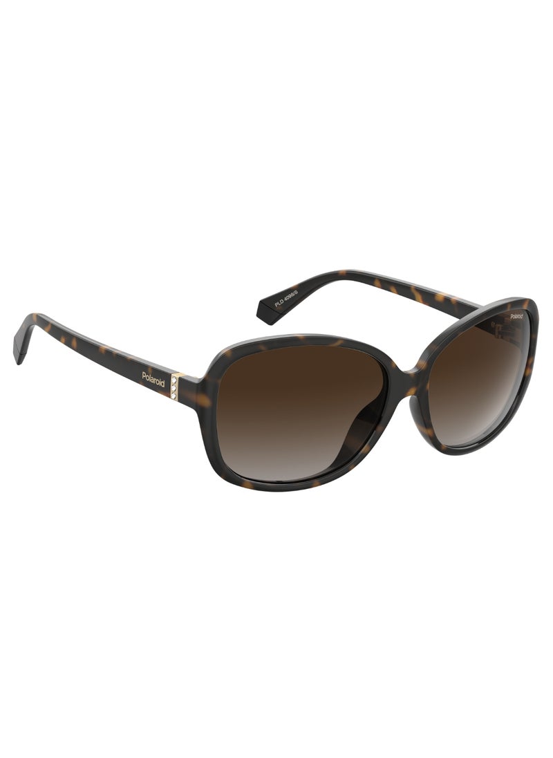 Polaroid Rectangular Polaroid Sunglasses Frames  - Image 3