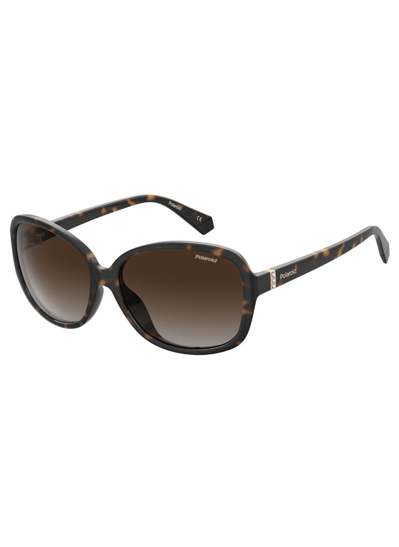 Polaroid Rectangular Polaroid Sunglasses Frames  - Image 1