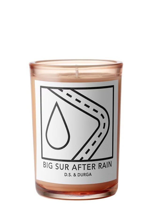 D.S. & DURGA D.S. & DURGA Big Sur after Rain Candle  - Image 1